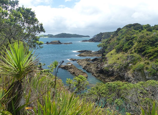 View to the northeast from Moturua Island